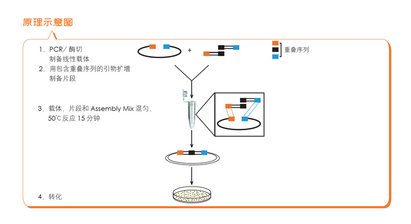 全式金產(chǎn)品再登《Science》雜志