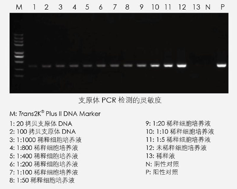 【逛展會(huì)零距離】“渝”您共赴中國細(xì)胞生物學(xué)學(xué)會(huì)2021年全國學(xué)術(shù)大會(huì)