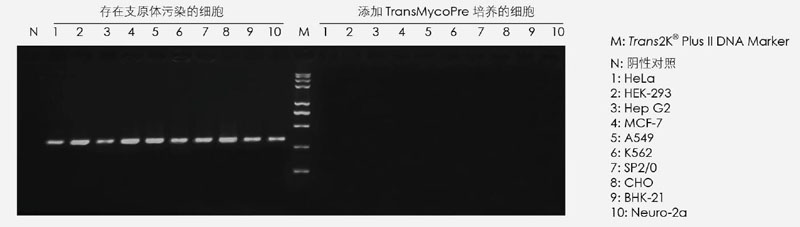 【逛展會(huì)零距離】“渝”您共赴中國細(xì)胞生物學(xué)學(xué)會(huì)2021年全國學(xué)術(shù)大會(huì)