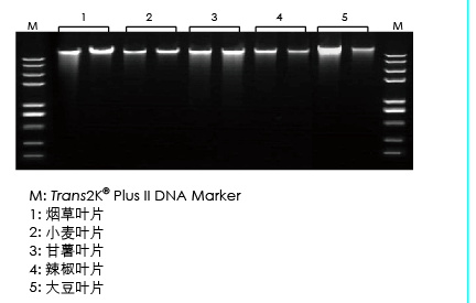 【展會零距離】2021全國植物生物學大會