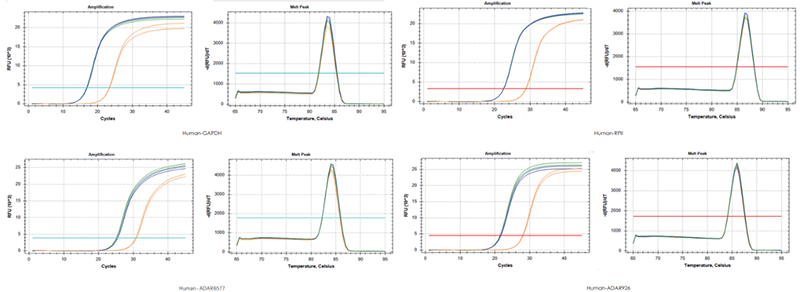 使用TransGen產(chǎn)品，以200 ng RNA、200 ng RNA+200 ng gDNA、200 ng gDNA為  模板進(jìn)行反轉(zhuǎn)錄后定量擴(kuò)增不同基因。結(jié)果表明，TransGen產(chǎn)品具有強(qiáng)的gDNA去除能力。
