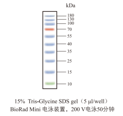 圖片3.png